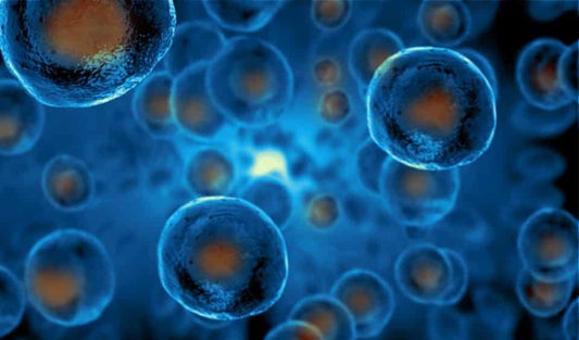 Orthobiologics Market to Reach USD 8 Billion by 2030, Driven by Aging Population and Rising Orthopedic Surgeries