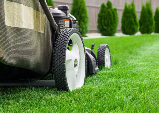 Europe Lawn Care Products Market Set for Robust Growth: Trends, Drivers, and Future Prospects