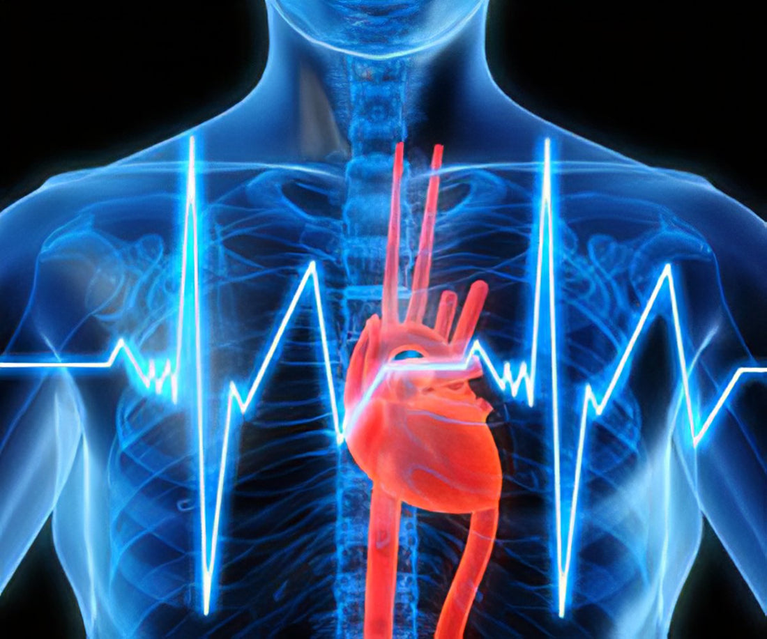 Cardiac Biomarkers Market Set to Reach USD 28 Billion by 2030, Driven by Rising Incidence of Cardiovascular Diseases