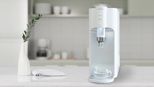 Water Purifier Market to Experience Robust Growth