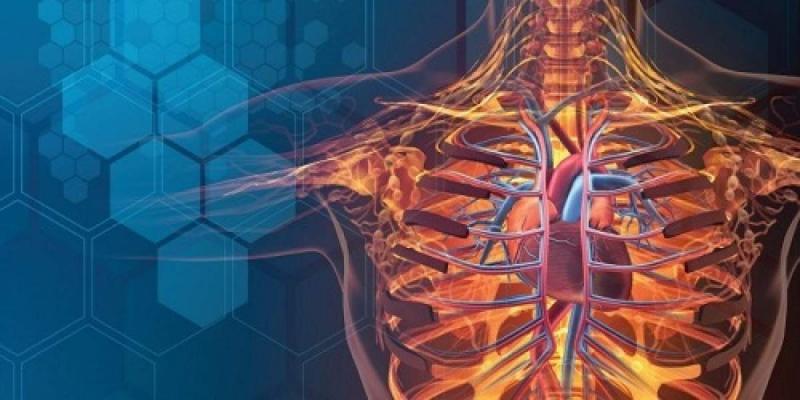 Biosimulation Market Set to Reach USD 11 Billion by 2030, Expanding at a CAGR of 19%