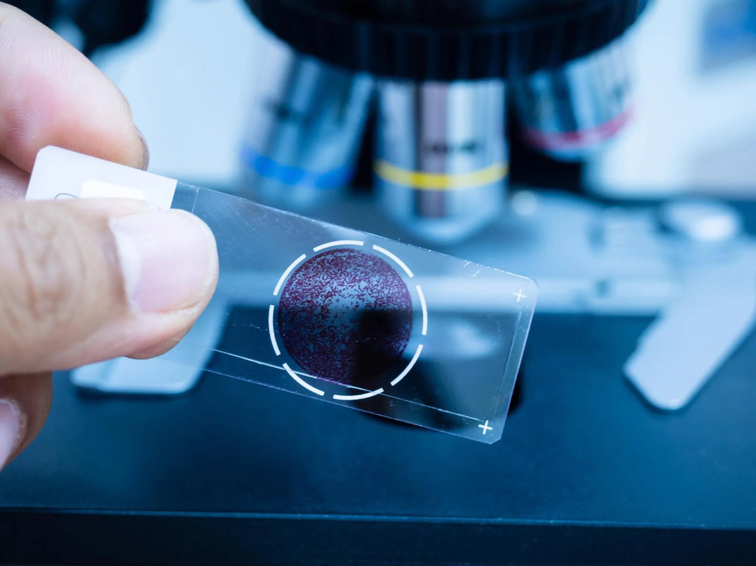 Pathological Examination Market to Reach USD 773 Billion by 2030, Driven by Rising Chronic Disease Prevalence and Technological Advancements