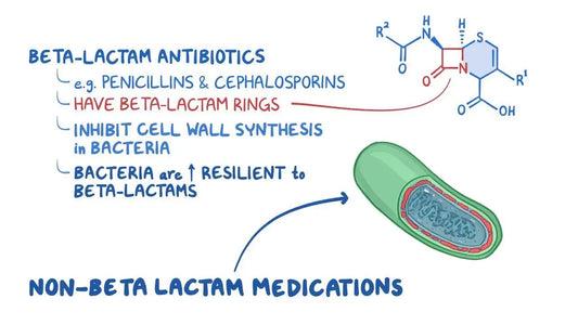 Global Beta-lactam and Beta-lactamase Inhibitor Market to Witness Steady Growth with a CAGR of 2% by 2030