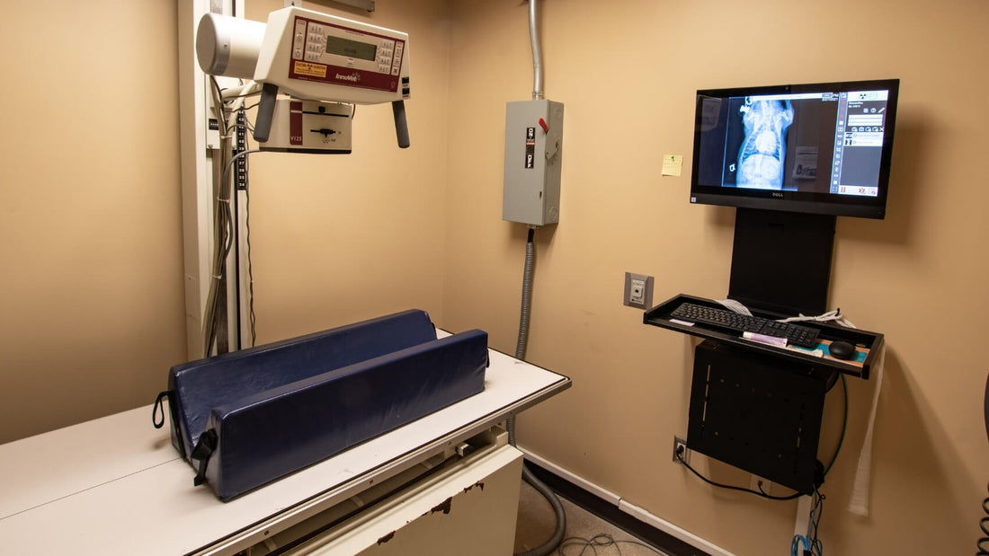 Veterinary Imaging Market Set for Significant Growth, Projected to Reach USD 3 Billion by 2030