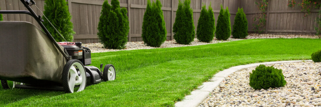 Singapore Lawn Care Products Market to Reach USD 308 Million by 2030, Growing at a CAGR of 12%