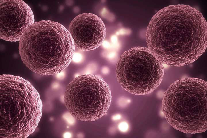 3D Cell Culture Market Set to Reach USD 5 Billion by 2030, Driven by Advancements in Research Technologies
