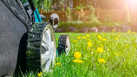 U.S. Lawn Care Products Market to Reach $15 Billion by 2030, Growing at a CAGR of 4% Driven by Sustainable Solutions and Increased Consumer Spending