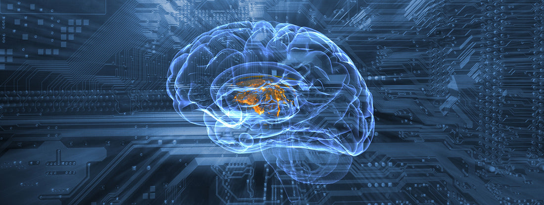 Advanced Swarm Intelligence Market to Reach USD 524 Million by 2030, Driven by Robotics, AI, and Autonomous Systems