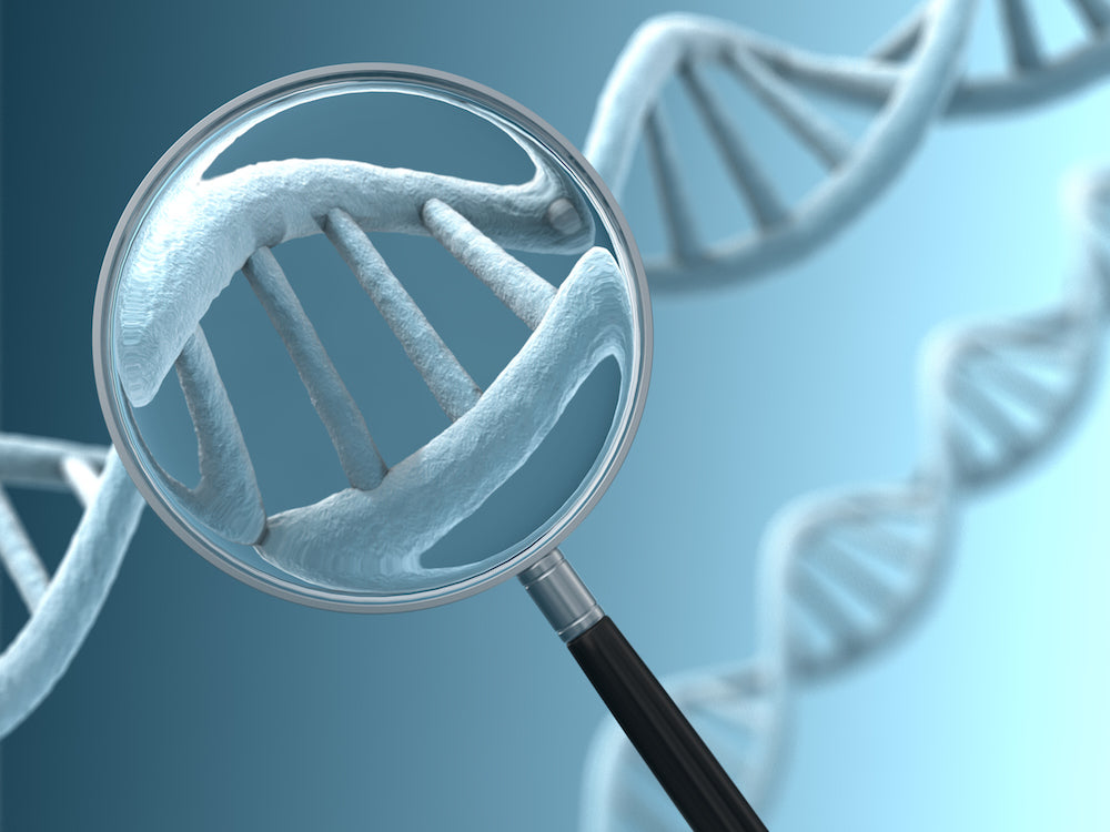 Cancer Gene Therapy Market to Reach USD 558 Billion by 2030, Driven by Growing Demand for Advanced Treatments and High Success Rates in Clinical Trials