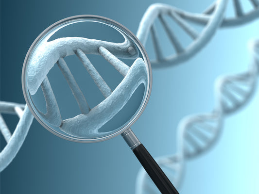 Cancer Gene Therapy Market to Reach USD 558 Billion by 2030, Driven by Growing Demand for Advanced Treatments and High Success Rates in Clinical Trials