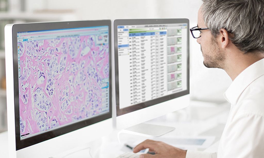 Digital Pathology Market to Reach USD 17 Billion by 2030, Expanding at a CAGR of 12%