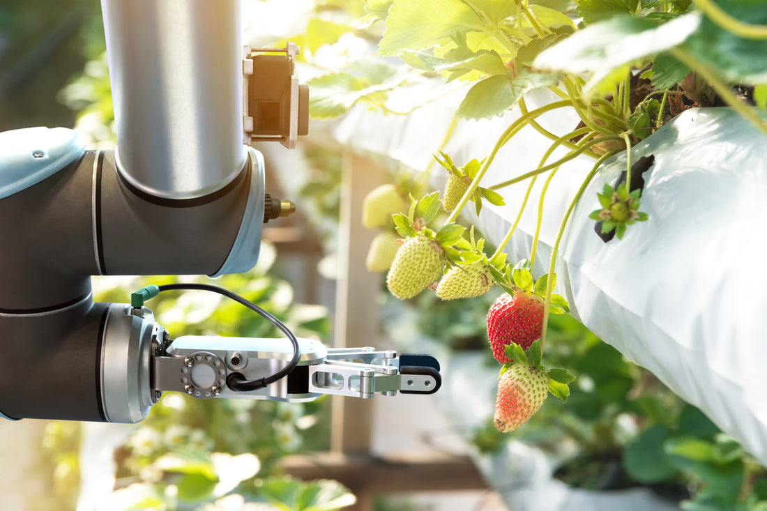 Taiwan Agriculture Robots Market Set to Reach USD 91 Million by 2030, Driven by Technological Advancements and Labor Shortages