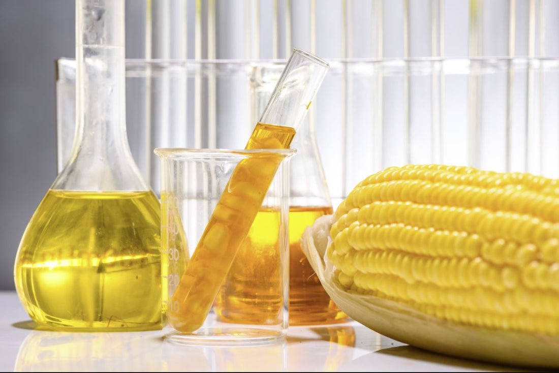 Hydrotreated Vegetable Oil (HVO) Market: Driving Sustainable Fuel Solutions