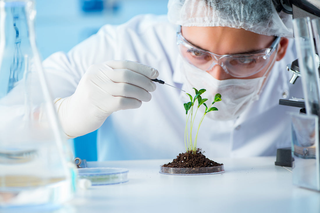 Biotechnology Market Set to Reach USD 2273 Billion by 2030, Driven by Innovations in Healthcare, Agriculture, and Industrial Applications