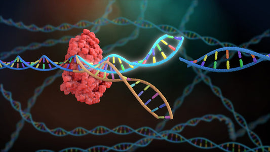 CRISPR Cas9 Market to Reach USD 12 Billion by 2030, Growing at a CAGR of 20%