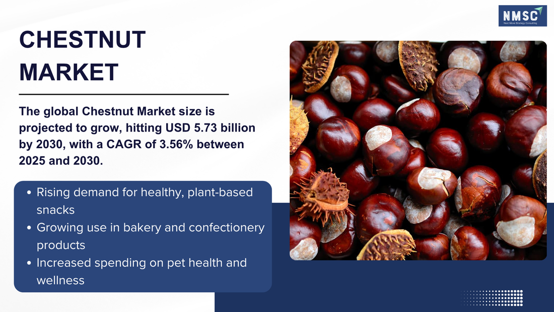 Chestnut Market Trends 2026: Top Companies, Innovations, and Why Investors Are Paying Attention