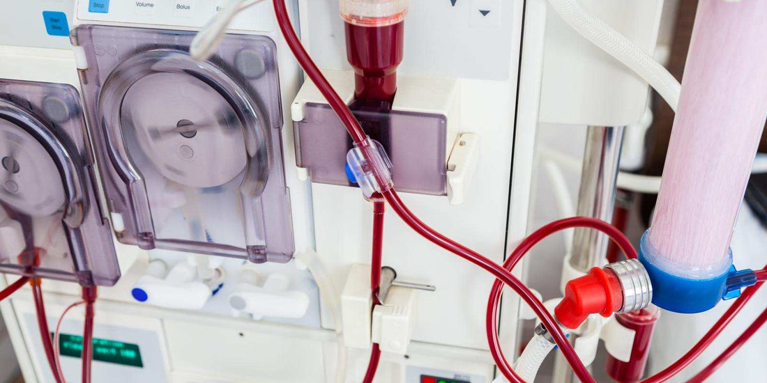 Taiwan Dialysis Market Set to Reach USD 318 Million by 2030, Driven by Rising CKD Prevalence, Aging Population, and Technological Advancements