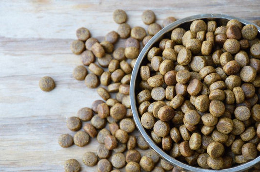North America Pet Food Ingredients Market: Shaping the Future of Pet Nutrition