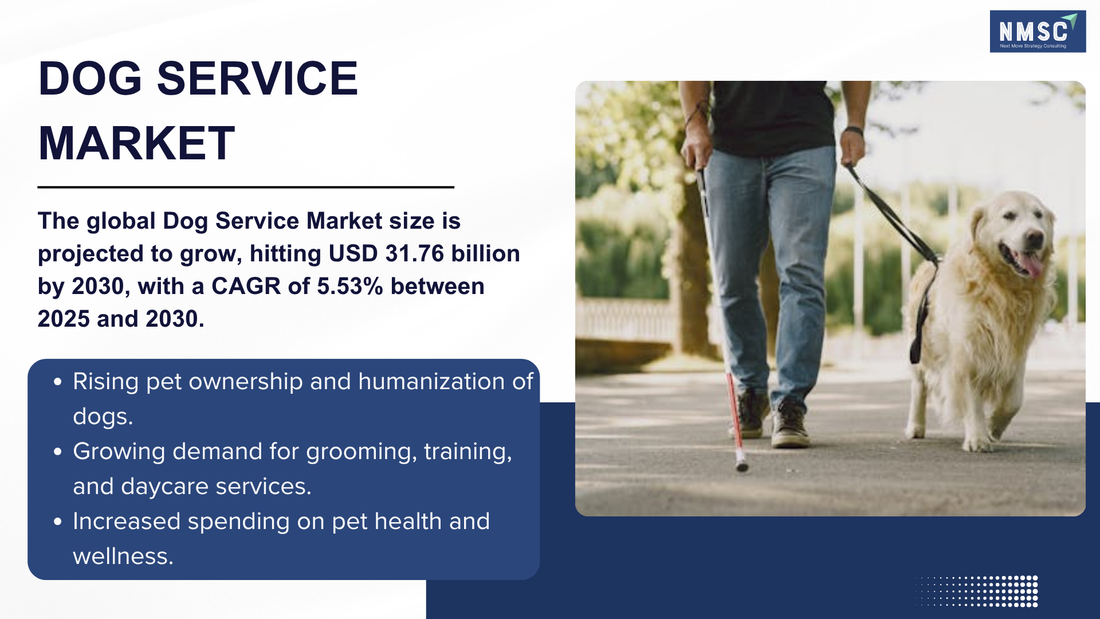 From Grooming to High-Tech Tracking: The Dog Service Market Shift You Can’t Ignore