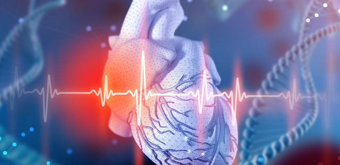 Electrophysiology Market to Reach USD 21 Billion by 2030, Growing at a CAGR of 13%