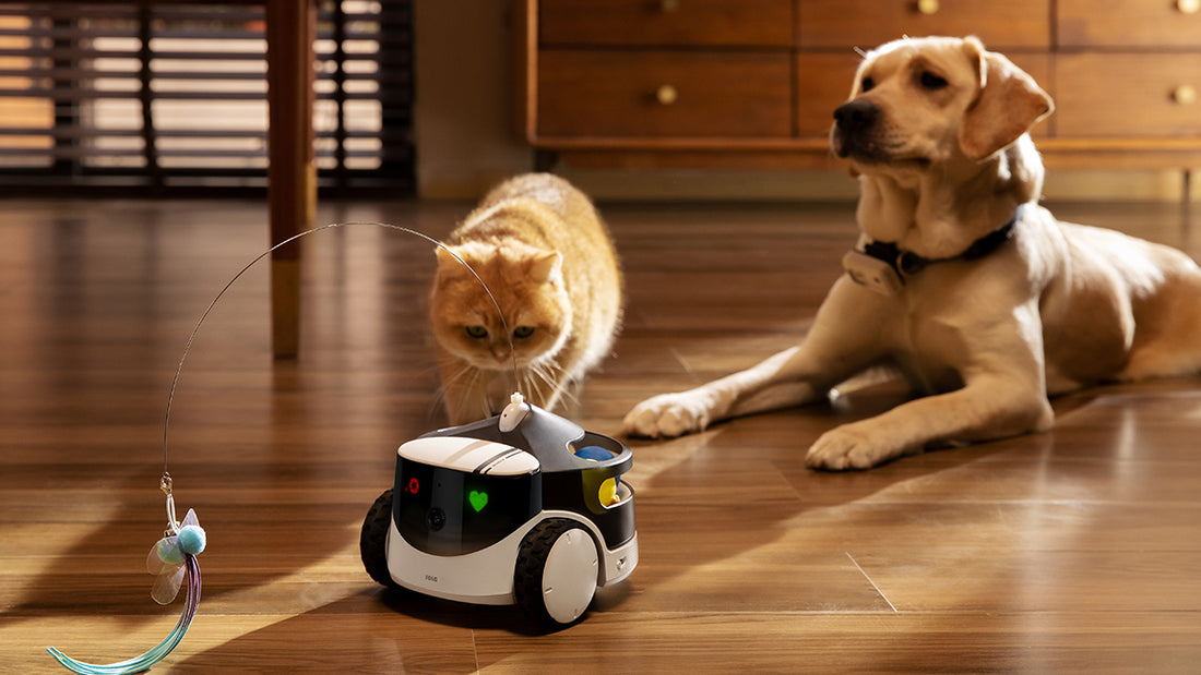 Pet Care Robots Market Poised for Robust Growth, Driven by Rising Pet Ownership and Technological Advancements in Robotic Solutions