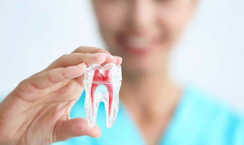 Endodontics Market to Reach USD 2 Billion by 2030, Growing at a CAGR of 5%
