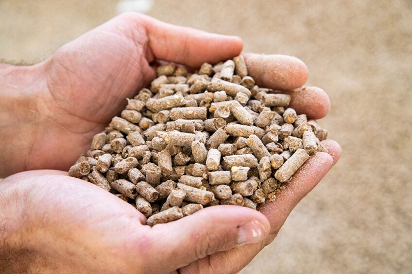 Compound Feed Market: Driving Growth with Nutritional Advancements and Technological Innovation