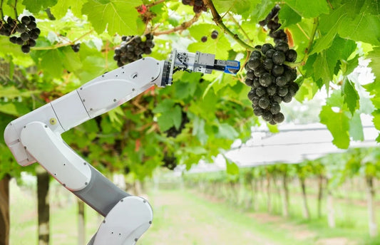 Mexico Agriculture Robots Market Poised for Rapid Growth, Projected to Reach USD 963 Million by 2030
