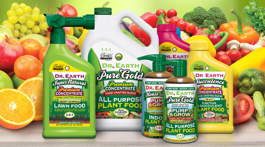 Liquid Fertilizer Market: Revolutionizing Modern Agriculture