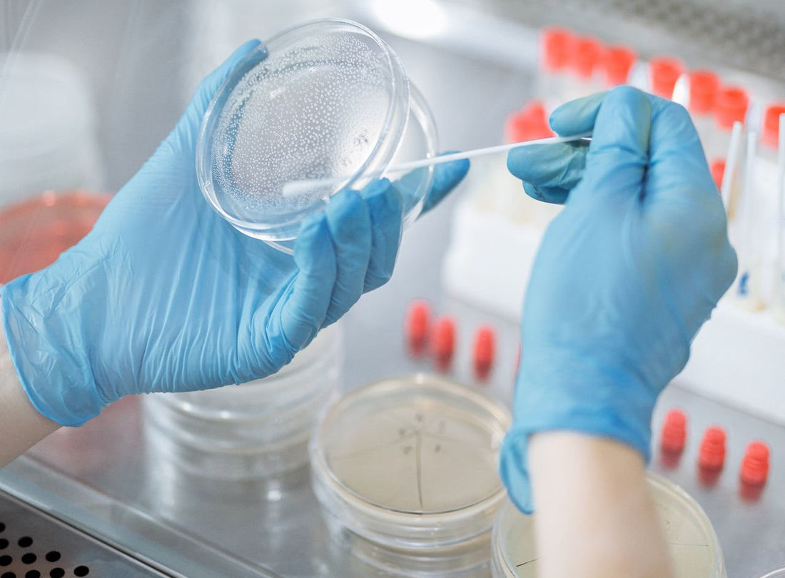 Legionella Water Testing Market Set to Reach USD 577 Million by 2030, Growing at a CAGR of 9%