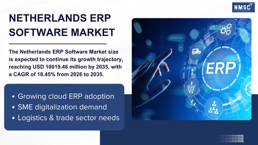 Netherlands ERP Software Market Forecast 2035: Why Businesses Are Switching to Cloud ERP Now