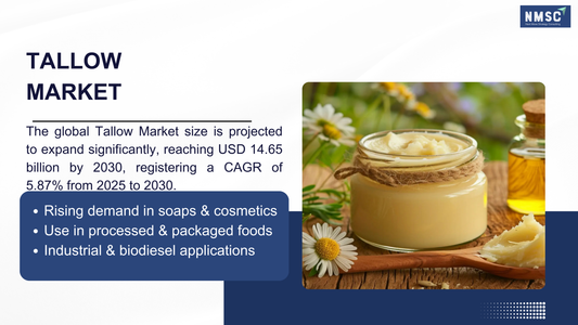 From Food to Biofuels: The Explosive Growth Driving the Global Tallow Market in 2026