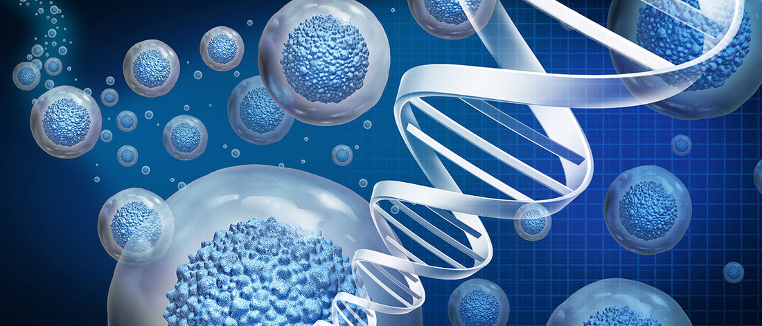 Tissue Engineering Market: Advancing Regenerative Medicine for a Healthier Future