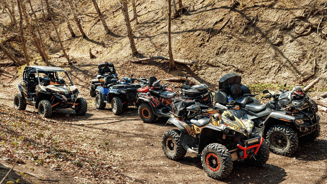 China ATV and UTV Market is Predicted to Reach USD 2 Billion with a CAGR of 5% by 2030
