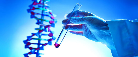 UK In-Vitro Diagnostic Market: Revolutionizing Healthcare with Early Disease Detection