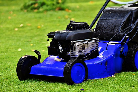 China Lawn Care Products Market Set to Reach USD 4 Billion by 2030, Driven by Rising DIY Trends and Technological Advancements