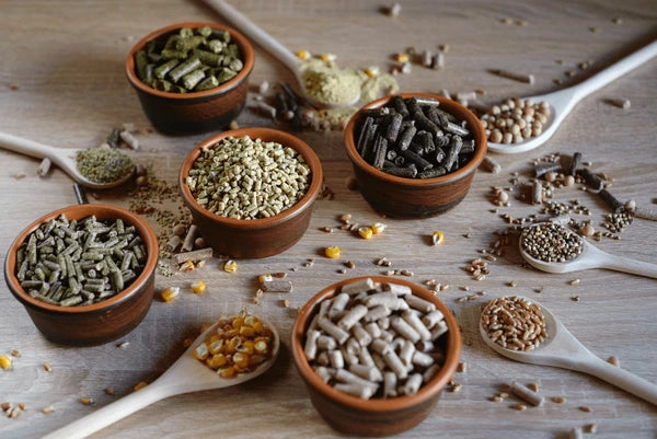 Feed Premix Market: Enhancing Animal Nutrition and Productivity