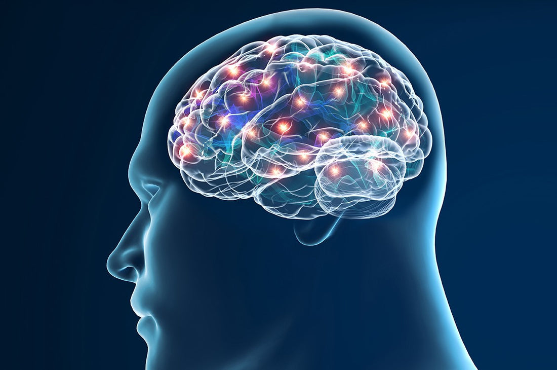 Neurodegenerative Diseases Drugs Market: A Growing Hope for Patients Worldwide