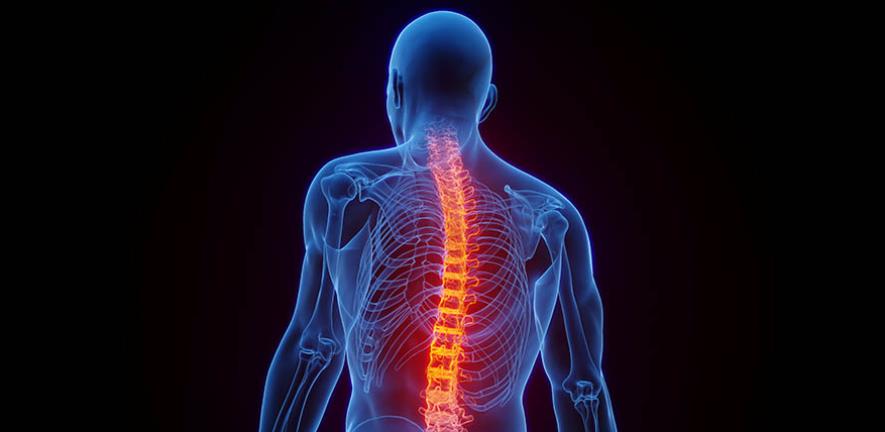 Growth of the Spinal Implant Market: Innovations and Rising Demand for Advanced Solutions