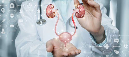 Growth and Opportunities in the Urinary Incontinence Devices Market