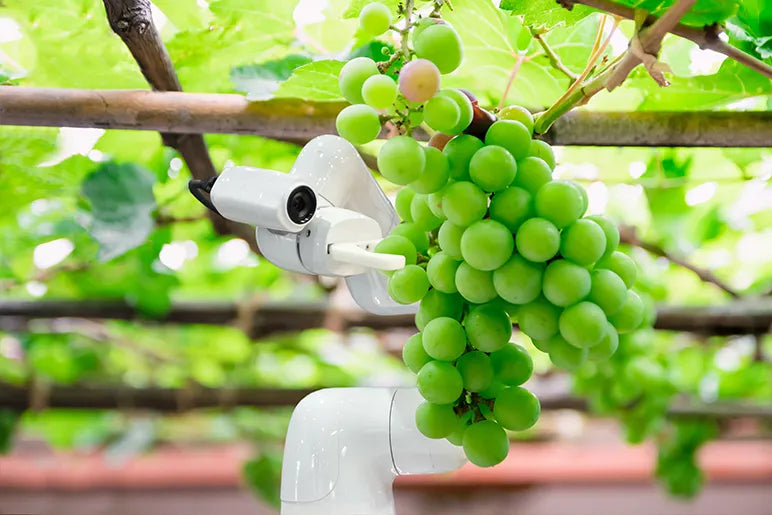 UK Agriculture Robots Market Set to Grow at 10% CAGR, Reaching USD 612 Million by 2030