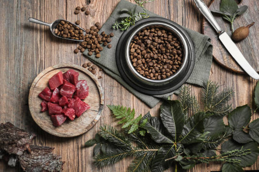 What Are the Key Regulatory Gaps Affecting Australia Pet Food Ingredients Market?