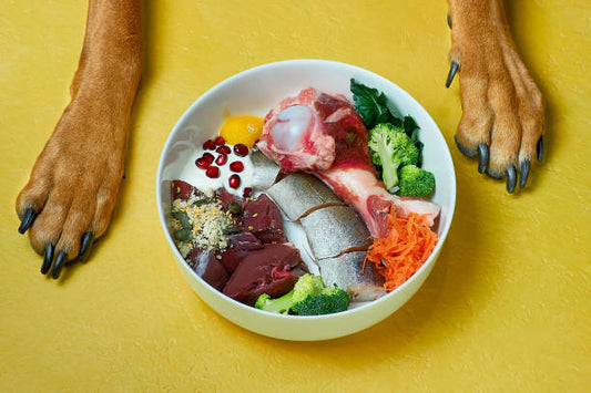 South Korea Pet Food Ingredients Market Poised for Significant Growth