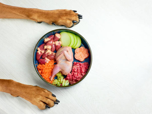 What Is Driving Growth in Taiwan’s Pet Food Market?
