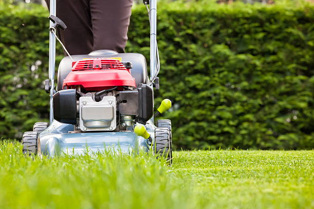 Denmark Lawn Care Products Market to Grow at a Robust CAGR of 9%, Projected to Reach USD 1030 Million by 2030