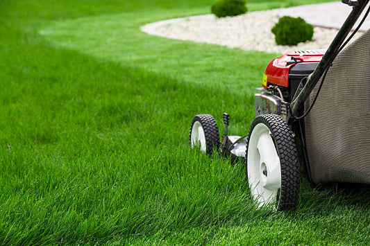 India Lawn Care Products Market Set for Rapid Growth, Expected to Reach USD 4 Billion by 2030