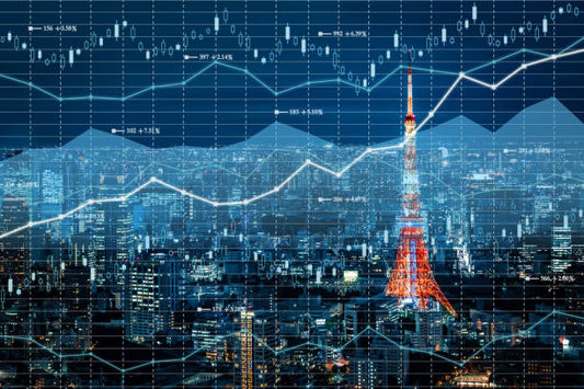 Japan Intralogistics Market: Revolutionizing Supply Chains Understanding Intralogistics in Japan