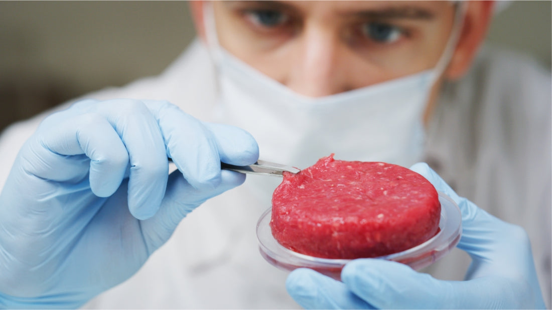 Cultured Meat Market Expected to Reach USD 961 Million by 2030, Driven by Technological Advancements and Growing Consumer Demand for Sustainable Meat Alternatives