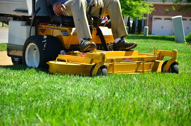 Poland Lawn Care Products Market Set for Significant Growth, Expected to Reach USD 820 Million by 2030