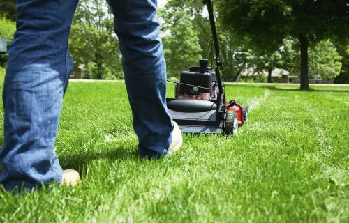India Lawn Care Products Market: Growth, Trends and the Future of Outdoor Living